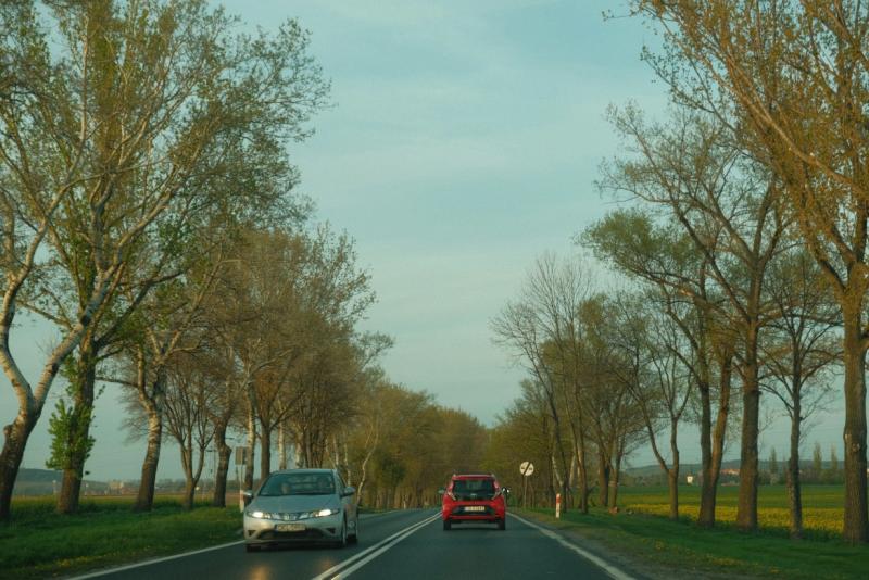 Drogi i wypadki Lublin - Zdjęcie podglądowe artykułu